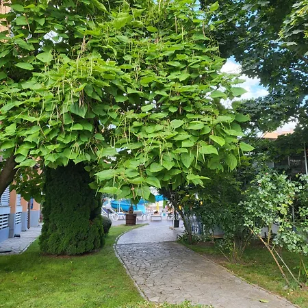 бриджит Apartmán *