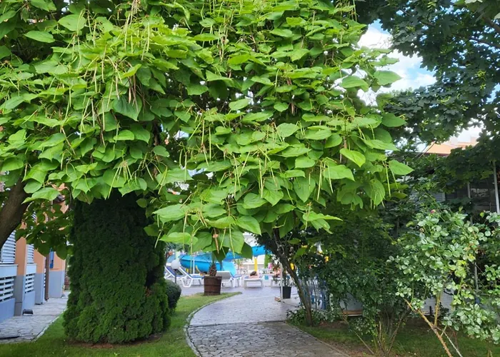 бриджит Апартамент *